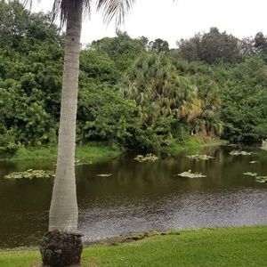 Meet your Posher, Mayela